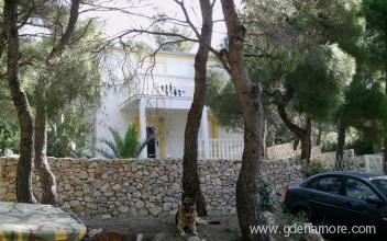 apartments damir, private accommodation in city Vis, Croatia